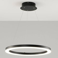 Светильник с металлическими плафонами чёрного цвета Moderli V1753-PL