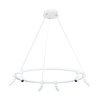 Светильник Arte Lamp(Ring) A2186SP-1WH