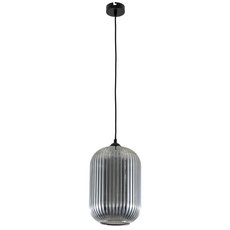 Светильник с арматурой чёрного цвета, плафонами тонированного цвета Arte Lamp A1903SP-1BK
