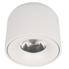Точечный светильник с металлическими плафонами Loft IT 10219 White 3000K