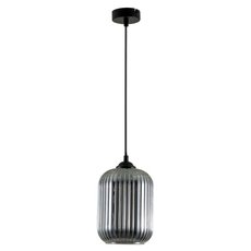 Светильник с арматурой чёрного цвета, плафонами тонированного цвета Arte Lamp A1902SP-1BK
