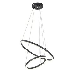Светильник с арматурой чёрного цвета, плафонами чёрного цвета Escada 10254/2LED Black APP