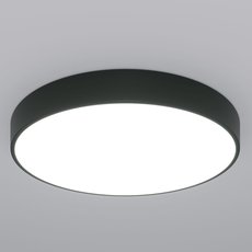 Потолочный светильник Eurosvet 90320/1 черный