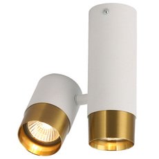 Точечный светильник с металлическими плафонами Lussole LSP-8829
