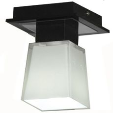 Светильник с арматурой чёрного цвета, плафонами белого цвета Lussole LSC-2507-01