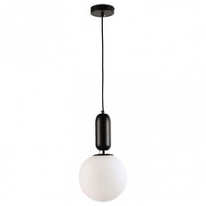 Светильник с арматурой чёрного цвета Lussole LSP-8590