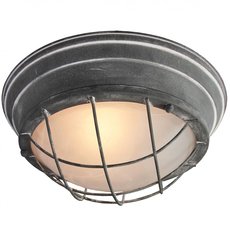 Потолочный светильник Lussole LSP-9881