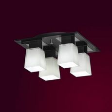 Потолочный светильник Lussole LSC-2507-04