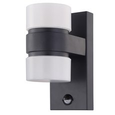Светильник для уличного освещения с арматурой чёрного цвета, пластиковыми плафонами Eglo 96276