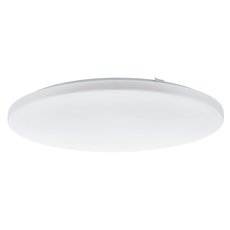 Светильник с арматурой белого цвета, пластиковыми плафонами Eglo 98446