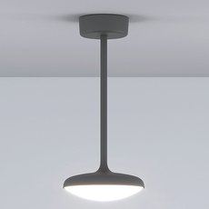 Светильник для уличного освещения Elektrostandard Portal серый (35162/H)