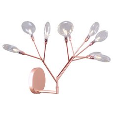 Бра с стеклянными плафонами Crystal lux EVITA AP9 COPPER/TRANSPARENT