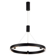 Светильник с арматурой чёрного цвета Ambrella Light FL5845