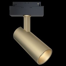 Шинная система с плафонами золотого цвета Maytoni TR019-2-15W4K-MG