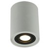 Точечный светильник Arte Lamp(FALCON) A5644PL-1WH