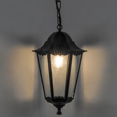 Светильник для уличного освещения подвесные светильники Feron 11060