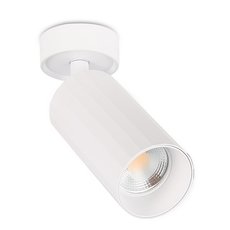 Точечный светильник с плафонами белого цвета Simple Story 2064-1CLW