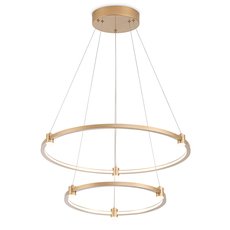 Светильник Ambrella Light FL5508