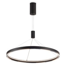 Светильник Ambrella Light FL5856