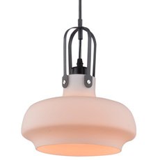 Светильник Arte Lamp A3624SP-1WH