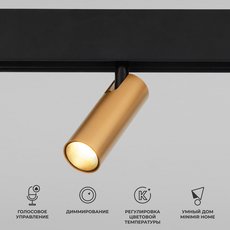 Светильник для магнитного шинопровода Elektrostandard(Slim Magnetic) 85070/01 Slim Magnetic Умный трековый светильник 7W 2700-6500K Dim Cubo (латунь)