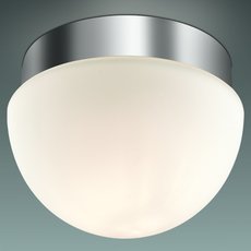 Светильник для ванной комнаты Odeon Light 2443/1A Minkar