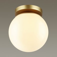 Светильник для улицы Odeon Light(Bosco) 4247/1C