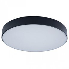 Светильник Loft IT(Axel) 10002/24 Black